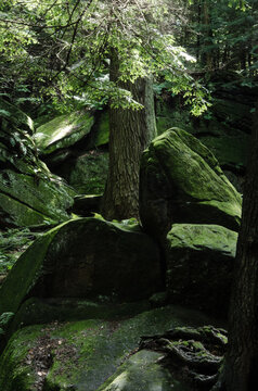 Rocks at The Ledges in the Cuyahoga Valley National Park
