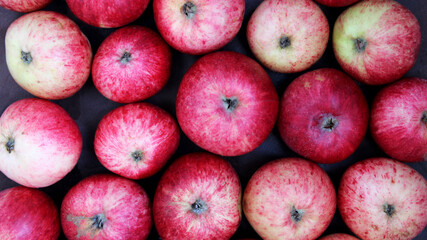 Rich harvest of red juicy apples