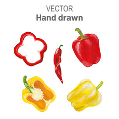 yellow and red bell pepper hand drawn realistic vector set. traced drawing of pepper and its parts