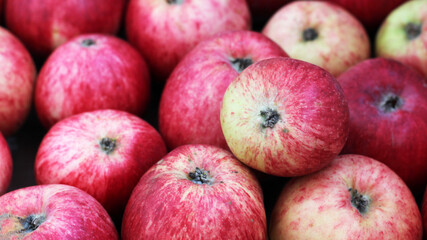 Rich harvest of red juicy apples
