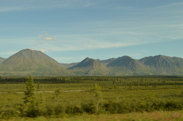 Obraz premium Road tripping and hiking in Northern Alaska and the Town of Chicken - USA