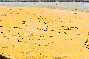 Painted Bumpy Asphalt