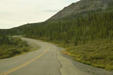 Fototapeta premium Road tripping and hiking in Northern Alaska and the Town of Chicken - USA