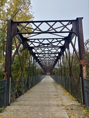 most konstrukcja metal drzewa liście