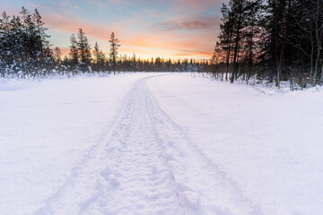 Track in deep snow from a snowmobile leads into the forest, while the sun is setting in Finnsih Lapland. Picture was taken in Pyha, Finland.