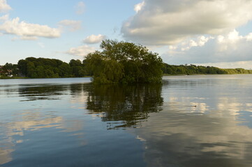 Nature and macro shots from the beautiful landscapes of the Mainland Jutland in Denmark