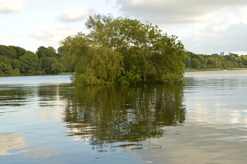Nature and macro shots from the beautiful landscapes of the Mainland Jutland in Denmark
