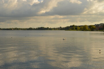 Nature and macro shots from the beautiful landscapes of the Mainland Jutland in Denmark