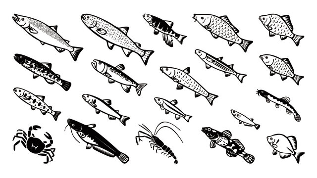 Japanese freshwater fish vector illust set