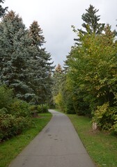 Weg durch den Park im September
