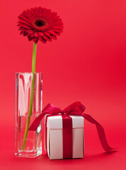 Greeting card with gerbera flower and gift box