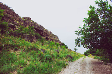 mountain road in the mountains