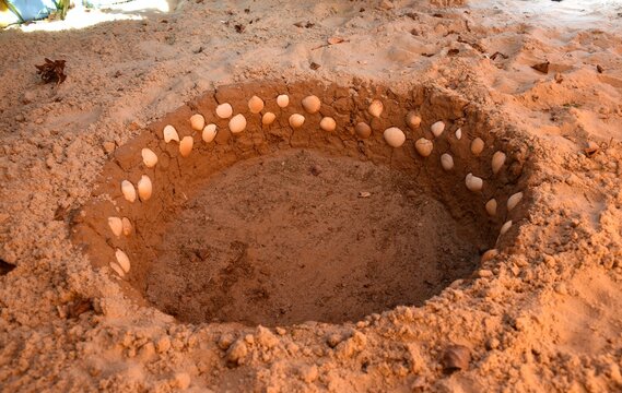 Center of the inipi or navel made of clay decorated with shells, the place where the red-hot sacred stones are placed during the temazcal.