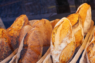 some bread in french bakery shop