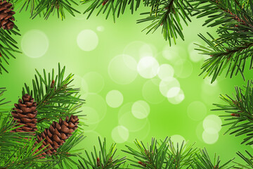 Fototapeta na wymiar twig spruce with cones on a green background