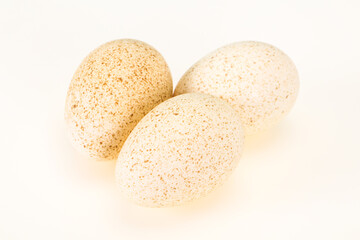 Three big raw turkey egg