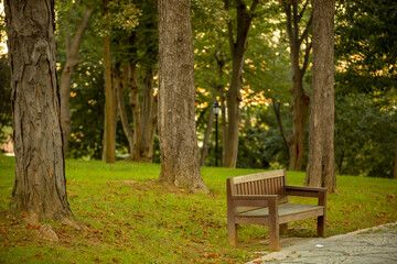 wooden seat standing in the park.