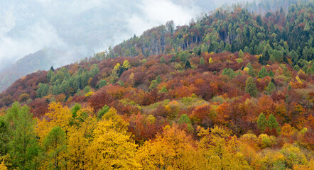 autumn landscape in the mountains