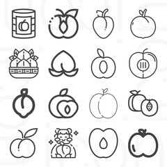 16 pack of peach  lineal web icons set
