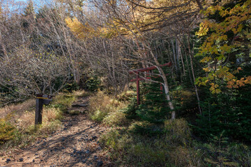 富士山吉田口登山道