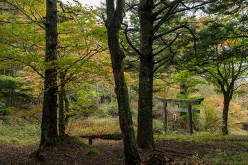 富士山吉田口登山道
