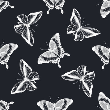 Seamless pattern with hand drawn chalk emerald swallowtail, swallowtail butterfly