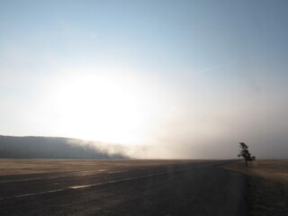 Foggy morning in Yellowstone National Park, WY