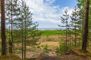 
Beautiful view of the lake from the green shore