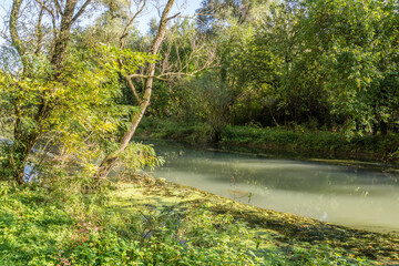 Fototapeta premium Iskar-Panega Geopark, along the Zlatna Panega River, Bulgaria