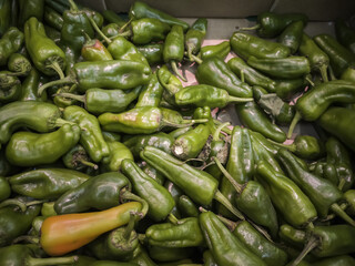 Ecological green peppers in a market