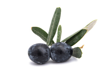 fresh olives isolated