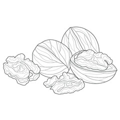 Walnuts .Coloring book antistress for children and adults. Illustration isolated on white background.Zen-tangle style.