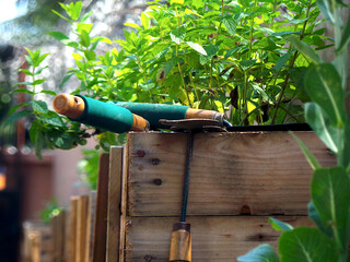 Gardening tools on a wooden planter with spearmint plants growing in it with bokeh background
