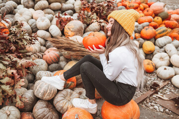 pumpkins and gourds