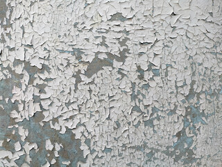 texture of shabby plywood painted with white paint