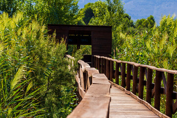 Fototapeta na wymiar Wood bridge and hide in marsh of Gaianes.