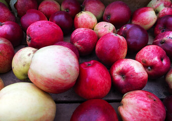 a bunch of yellow and red apples close up