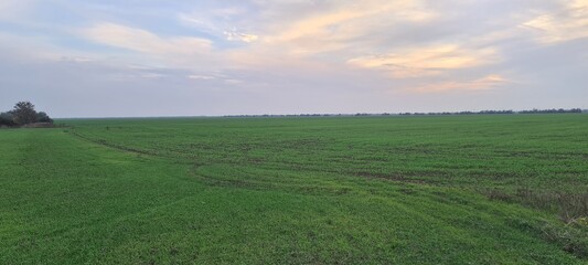 view of the countryside