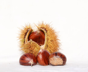 chestnuts isolated for background