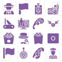 16 pack of nationality  filled web icons set