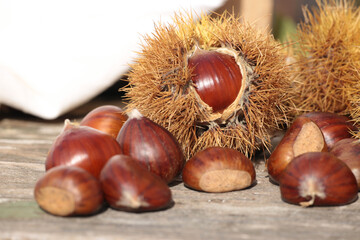 chestnuts isolated for background