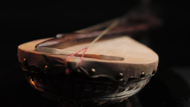 Gusle Antique Music Instrument Close Up. Traditional Balkans One String Fiddle