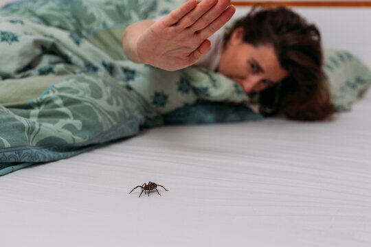Woman in bedroom terrified by big spider crawling over her bed, trying to kill it with her hand