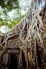 photo by Denis Shmigiriloff