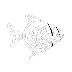 fish line drawing black and white
