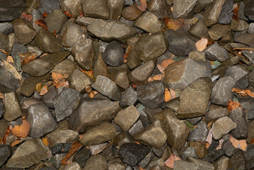 Seamless background of wet stones lying in a jumble with yellow leaves