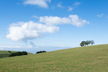 Obraz premium Wunderschöner Blick vom Schauinsland bei Freiburg