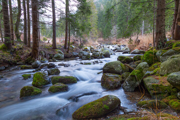 Endless stream. Mountain river in forest. Slovakia © anatoliil