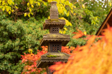 Zen Garten im Herbst