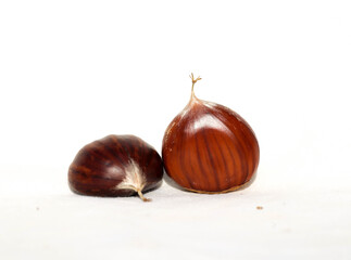chestnuts isolated for background